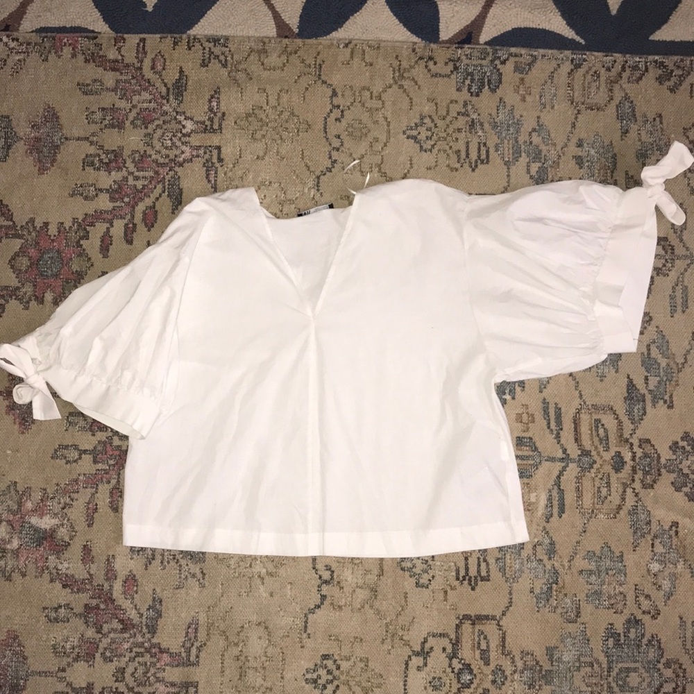 Zara Balloon Tie Sleeve Blouse